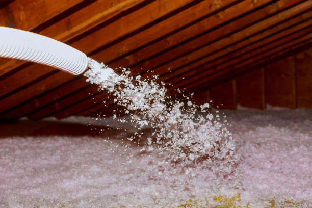 Types of Insulation We Offer in Loma Rica, CA